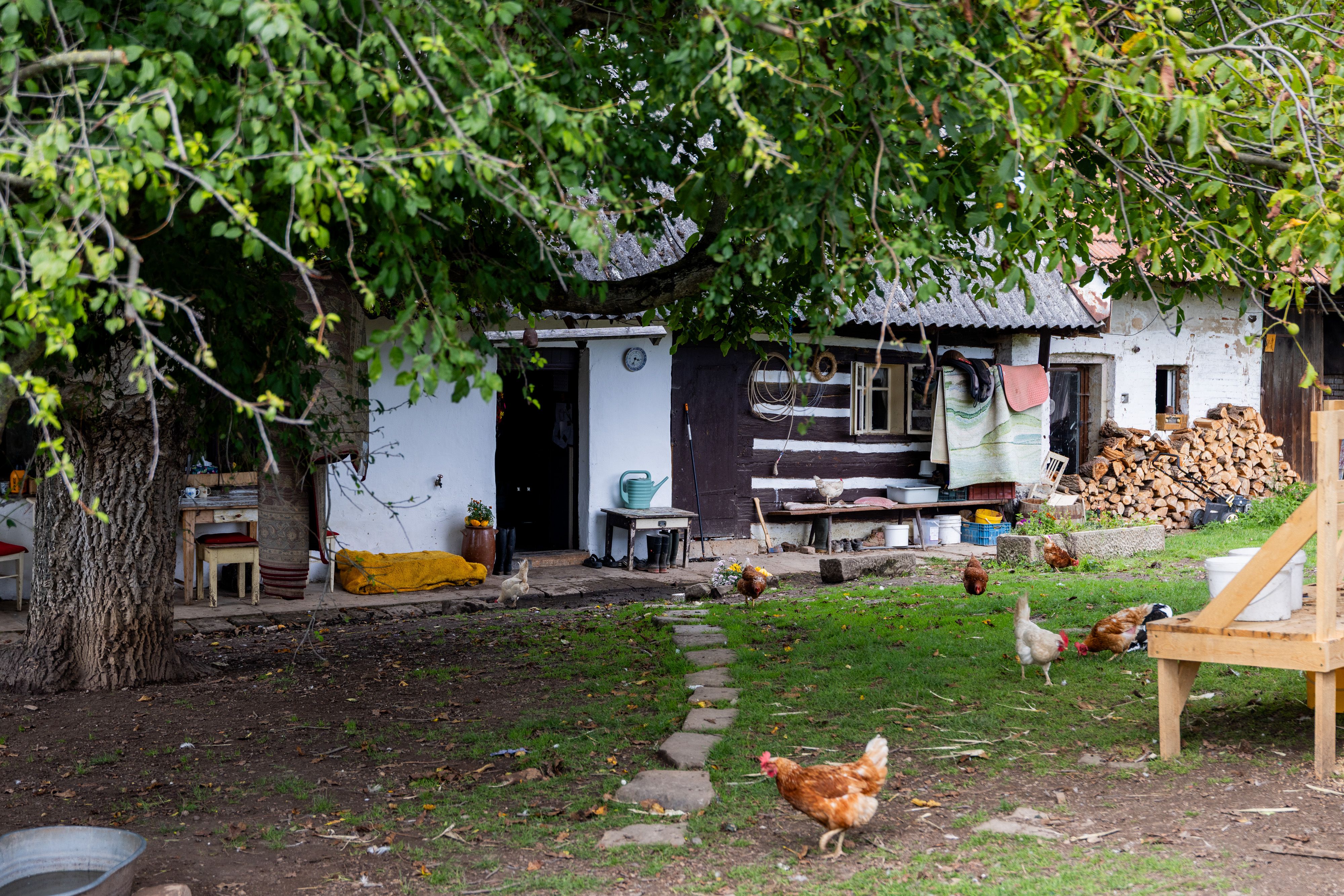 Fotografie nemovitosti