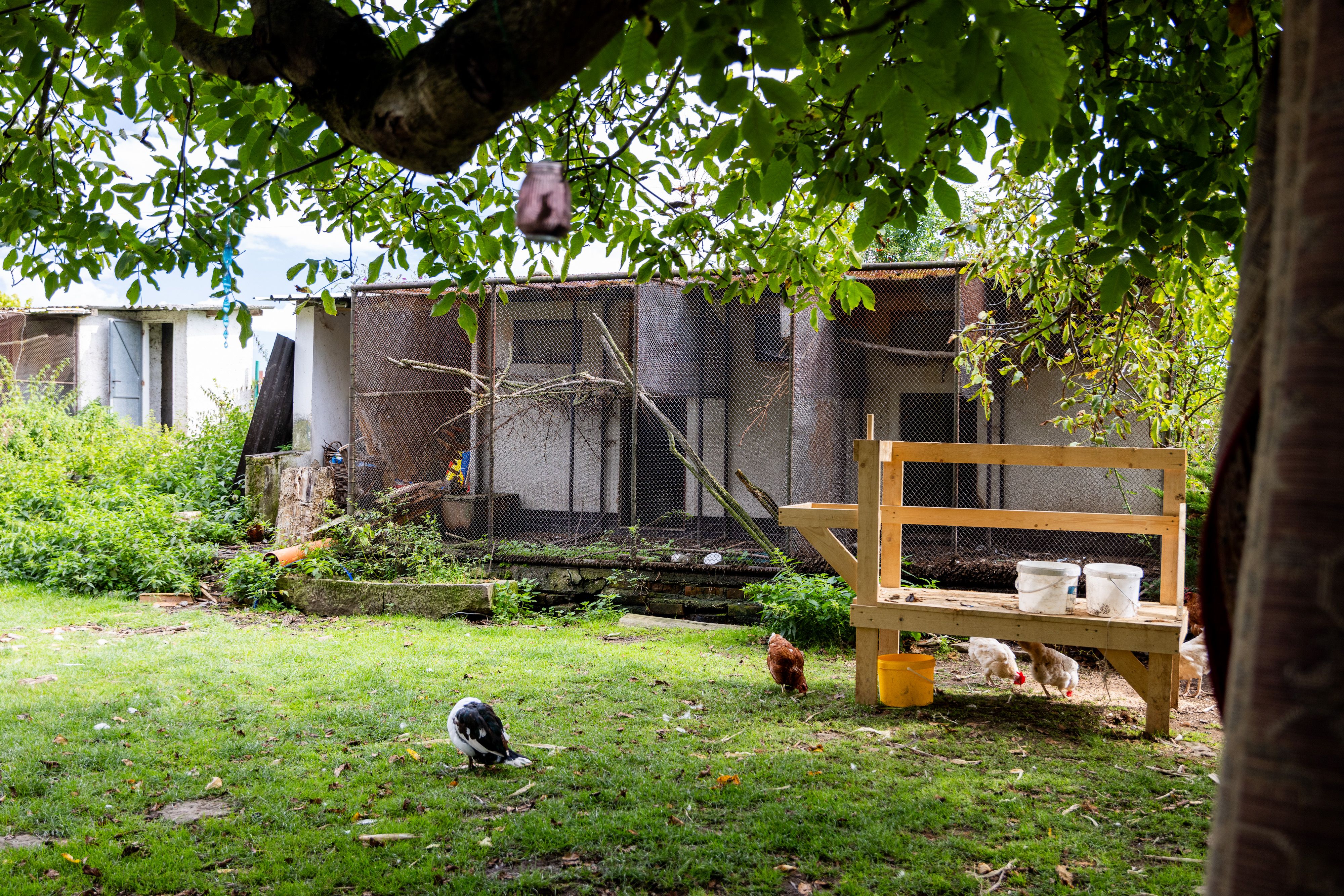 Historická dřevěná stavba s farmou, pozemky 13.269 m2 a soukromím-4