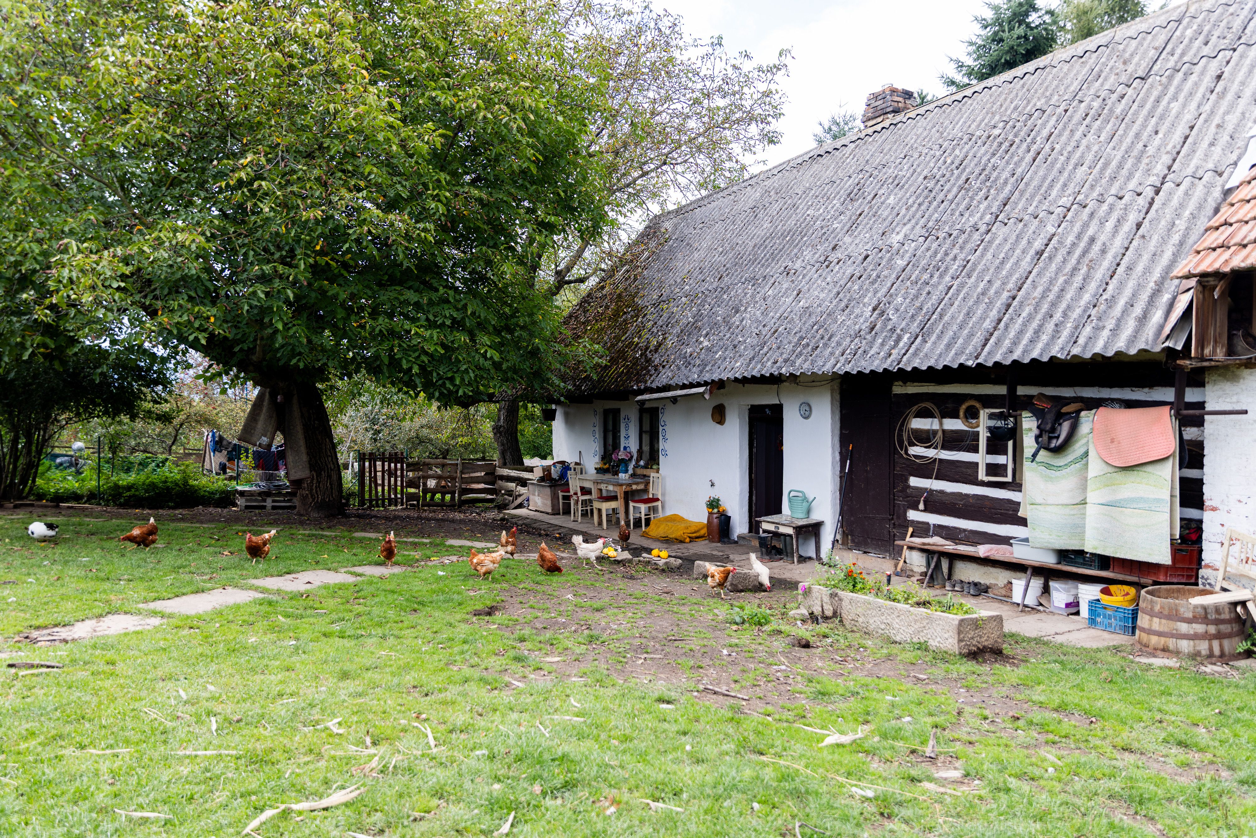 Historická dřevěná stavba s farmou, pozemky 13.269 m2 a soukromím-5