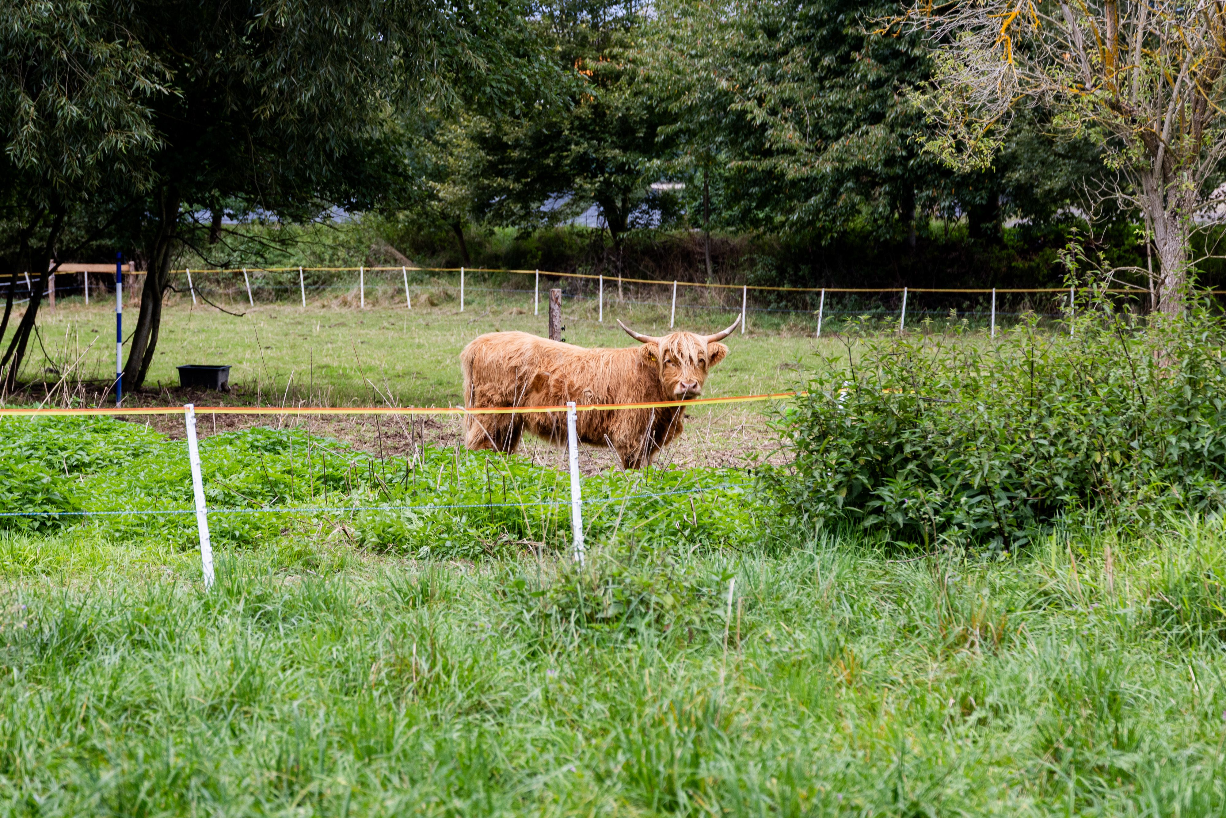 Fotografie nemovitosti