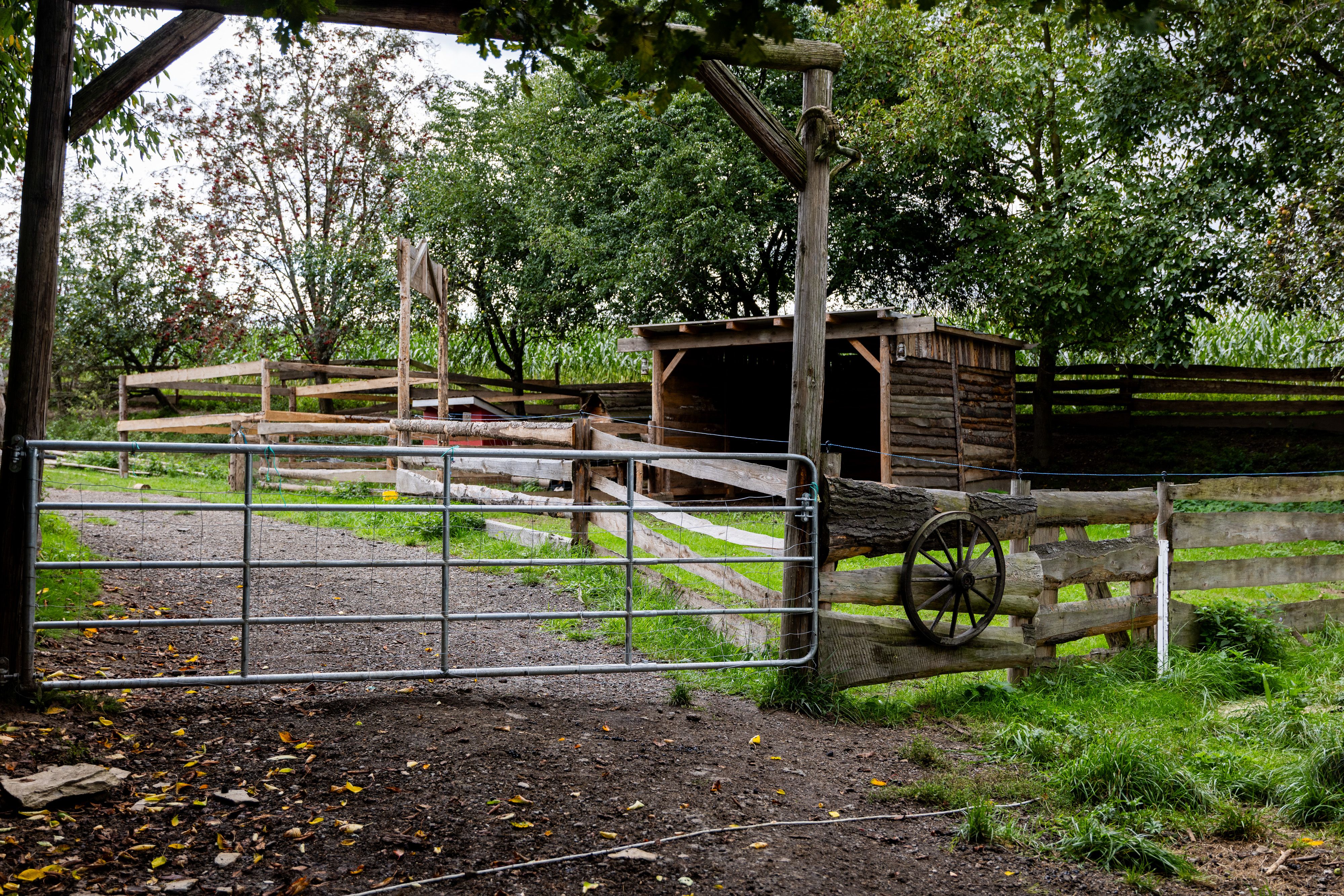 Historická dřevěná stavba s farmou, pozemky 13.269 m2 a soukromím-3