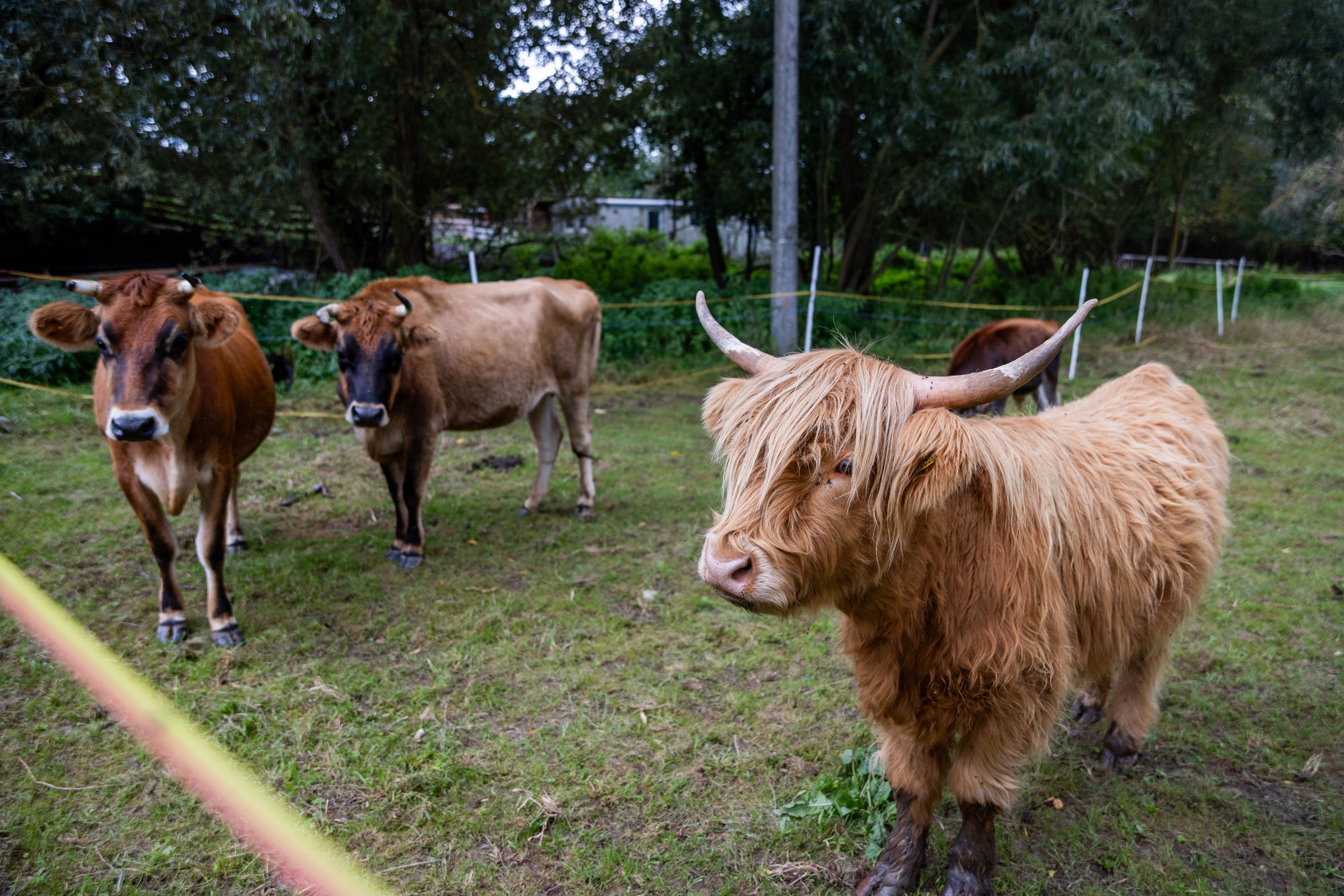 Fotografie nemovitosti